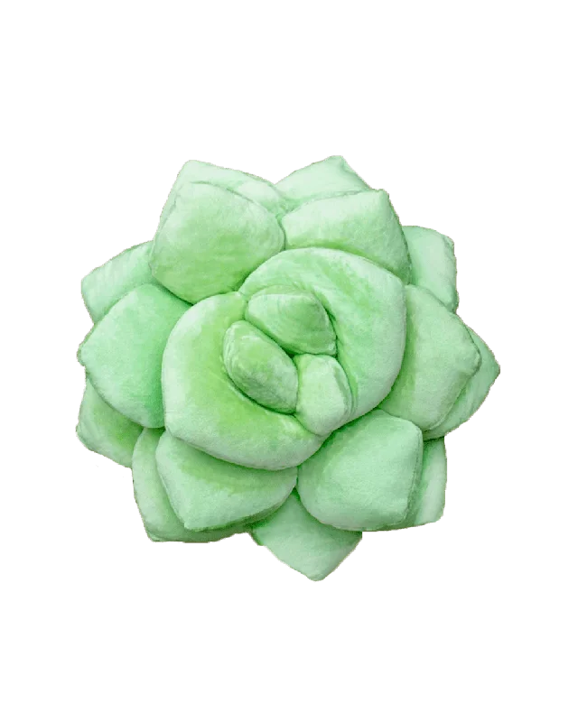 Lil' Pop Succulent®  - Sage Green