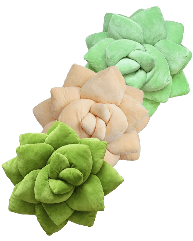 Big Pop Trio Succulent® Bundle